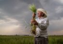 Impulsa Agricultura programas de desarrollo agrícola y ambiental en el municipio de Texcoco