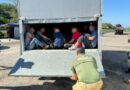 Auxilian en Veracruz a 64 personas migrantes hacinadas en dos camionetas